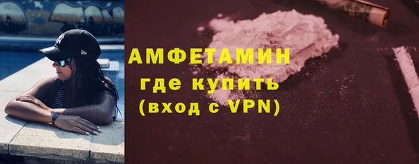 сатива Волосово