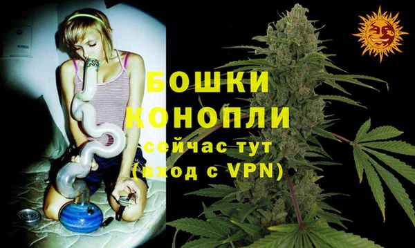 сатива Волосово