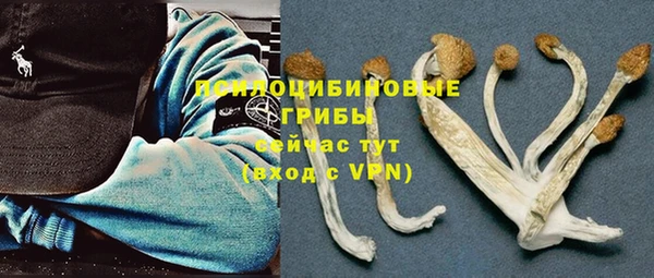 не бодяженный Володарск