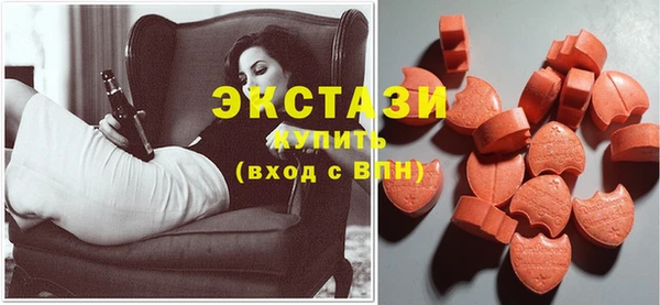 индика Вязьма