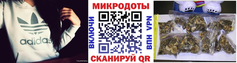 Псилоцибиновые грибы Magic Shrooms  наркотики  Ермолино 
